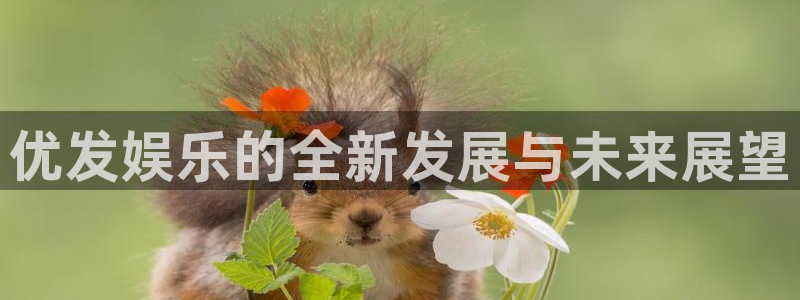 bg大游官方网站：优发娱乐的全新发展与未来展望