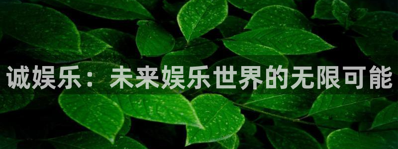 bg大游娱乐官网：诚娱乐：未来娱乐世界的无限可能